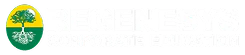 Regenesys